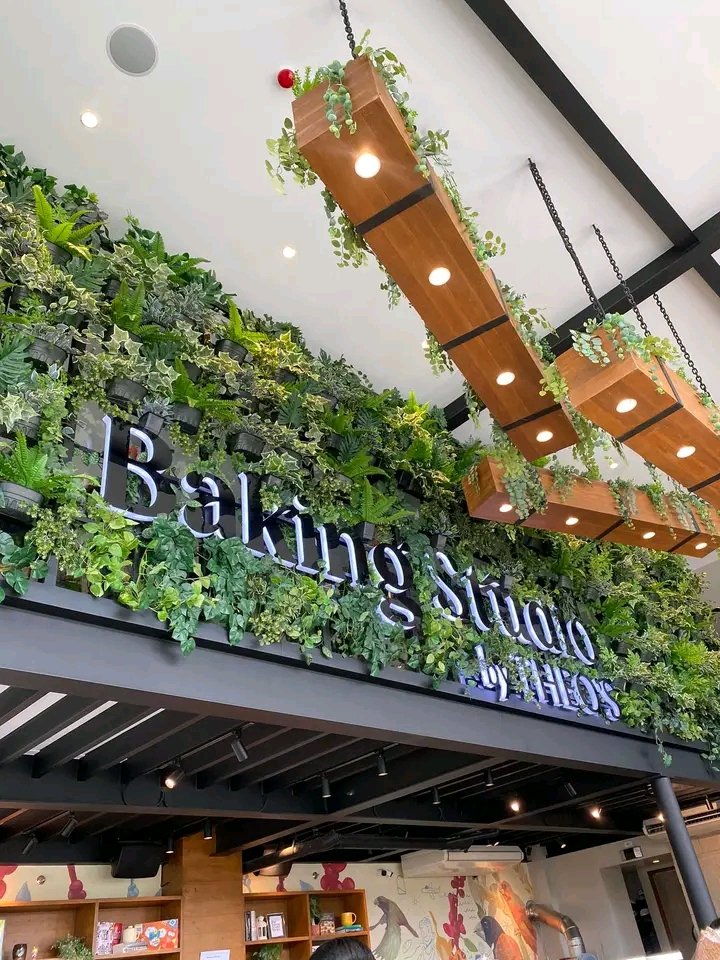 Baking studio by theo's